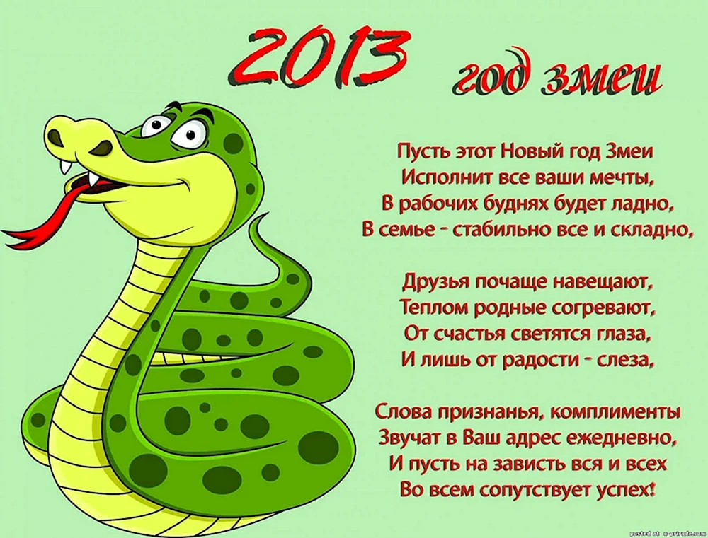 2013 Год змеи