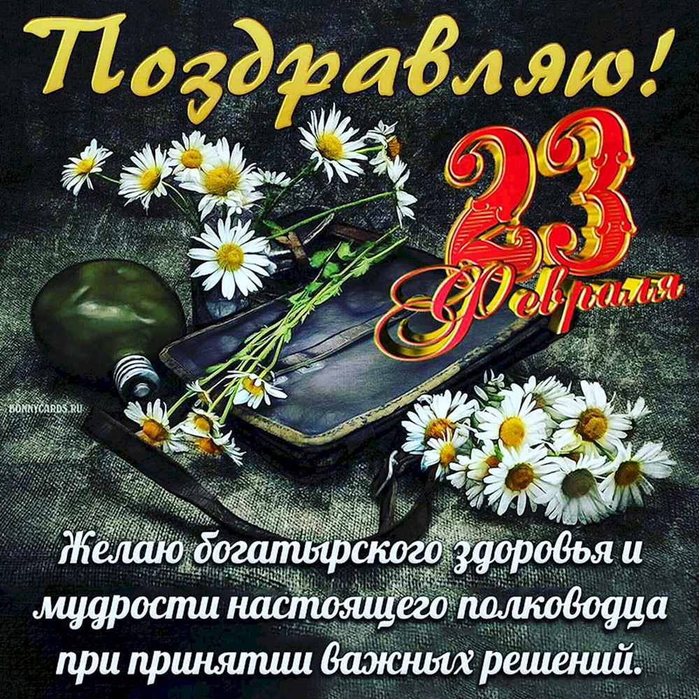 С 23 февраля