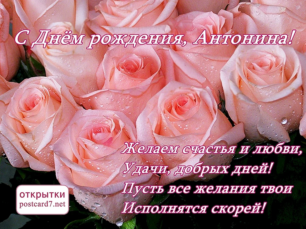 С днём рождения Антонина