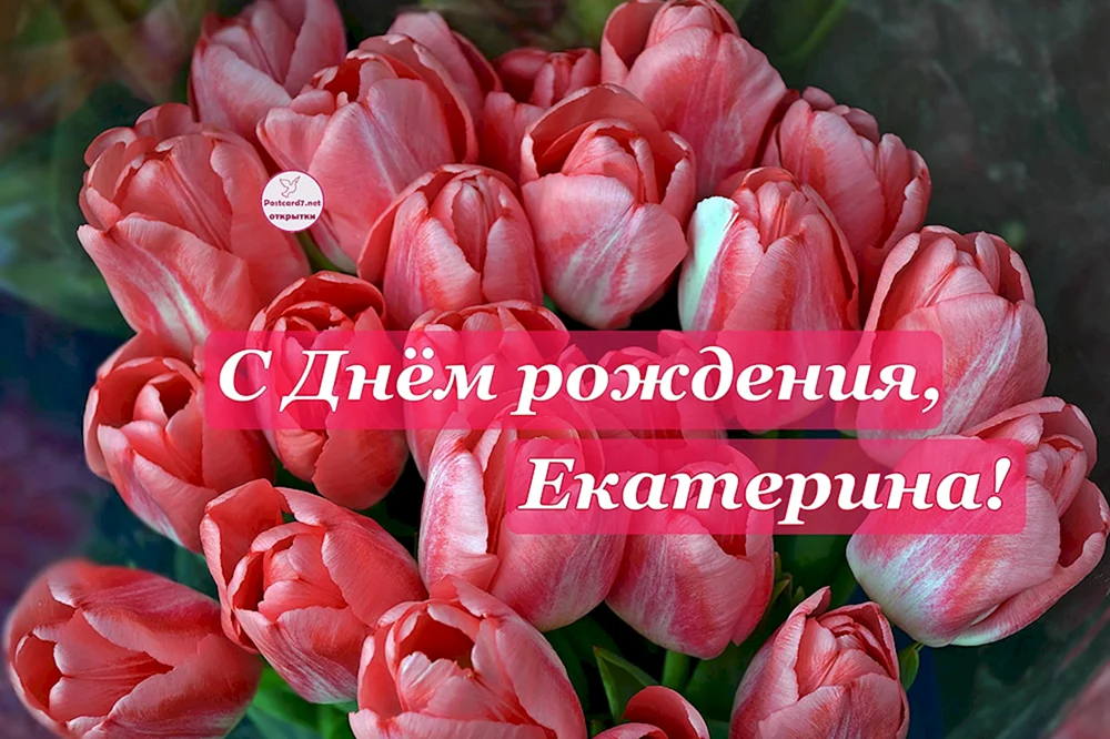 С днём рождения Екатерина